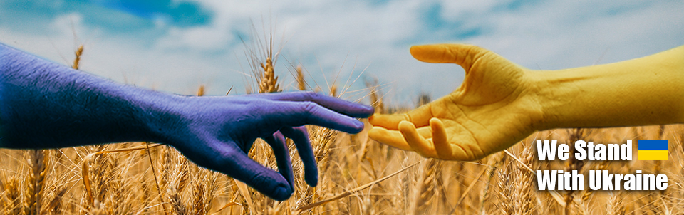 Holding hands with Ukrainian flag colors and sunflower background