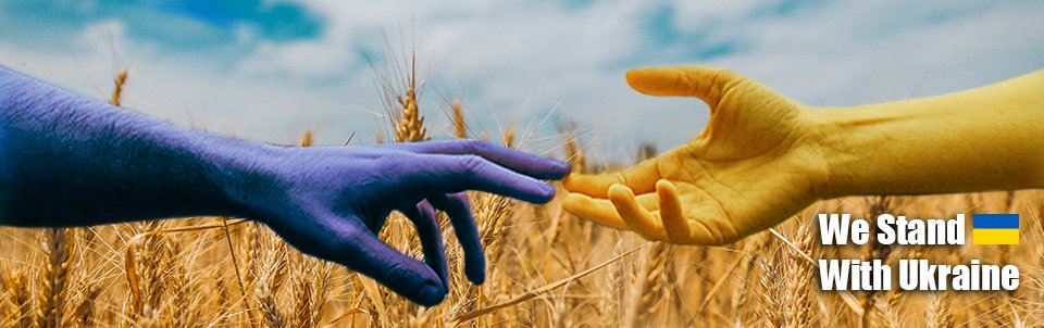 Holding hands with Ukrainian flag colors and sunflower background